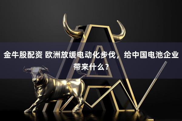 金牛股配资 欧洲放缓电动化步伐，给中国电池企业带来什么？