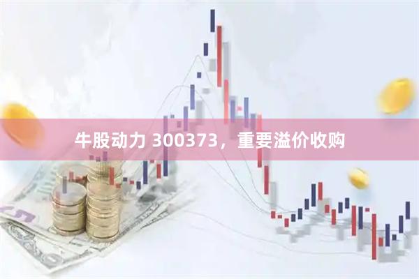 牛股动力 300373，重要溢价收购