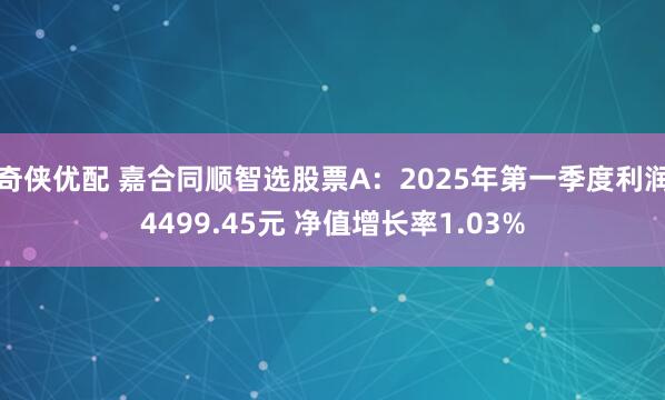 奇侠优配 嘉合同顺智选股票A：2025年第一季度利润4499.45元 净值增长率1.03%