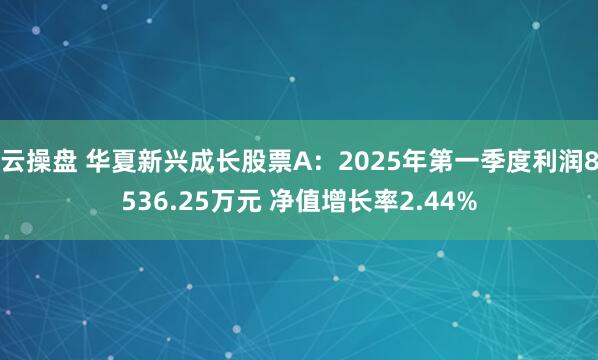 云操盘 华夏新兴成长股票A：2025年第一季度利润8536.25万元 净值增长率2.44%