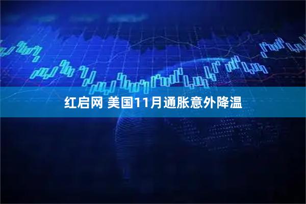 红启网 美国11月通胀意外降温